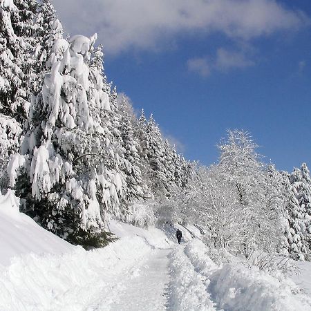 Ferienwohnung Am Eisweiher ทิทิเซ-นอยชตัดท์ ภายนอก รูปภาพ