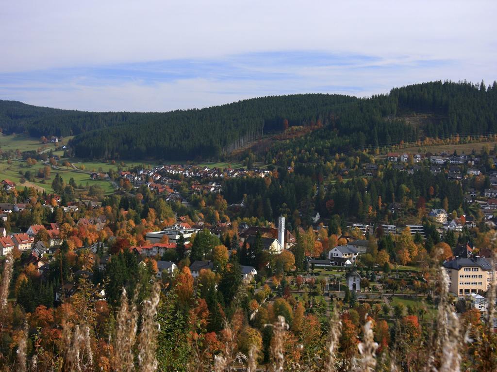 Ferienwohnung Am Eisweiher ทิทิเซ-นอยชตัดท์ ภายนอก รูปภาพ