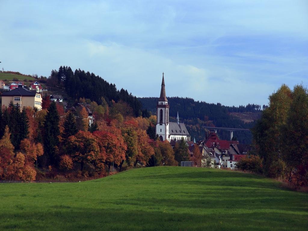 Ferienwohnung Am Eisweiher ทิทิเซ-นอยชตัดท์ ภายนอก รูปภาพ