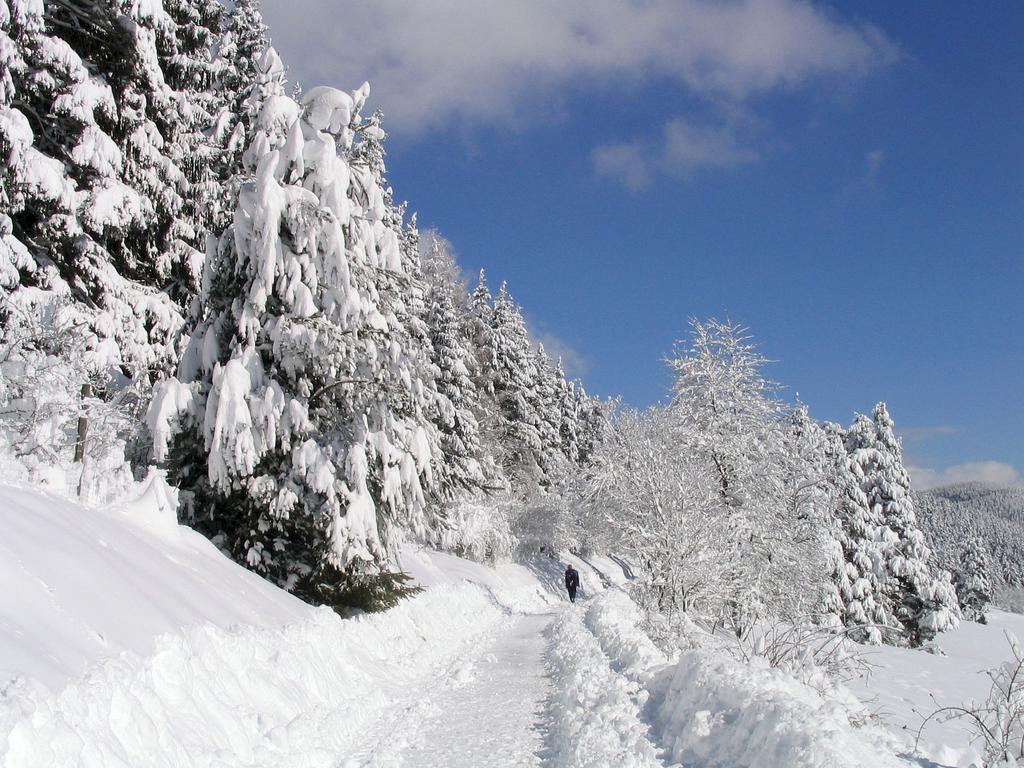 Ferienwohnung Am Eisweiher ทิทิเซ-นอยชตัดท์ ภายนอก รูปภาพ