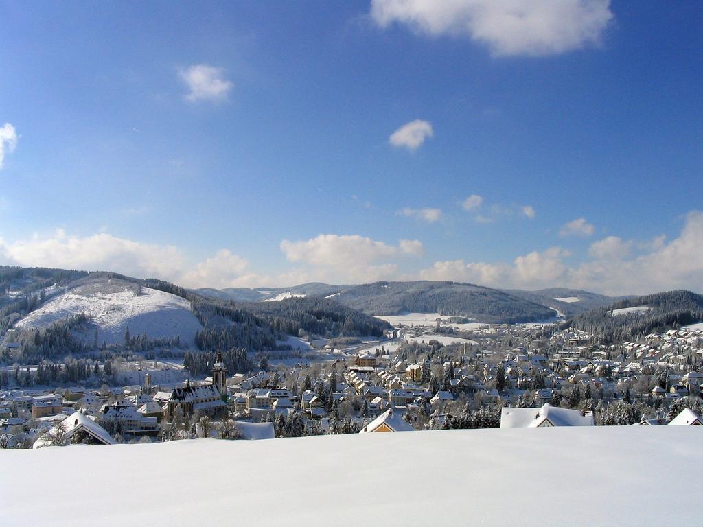 Ferienwohnung Am Eisweiher ทิทิเซ-นอยชตัดท์ ภายนอก รูปภาพ