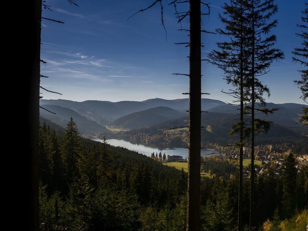 Ferienwohnung Am Eisweiher ทิทิเซ-นอยชตัดท์ ภายนอก รูปภาพ