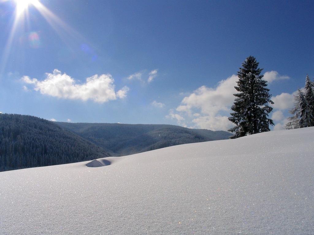 Ferienwohnung Am Eisweiher ทิทิเซ-นอยชตัดท์ ภายนอก รูปภาพ